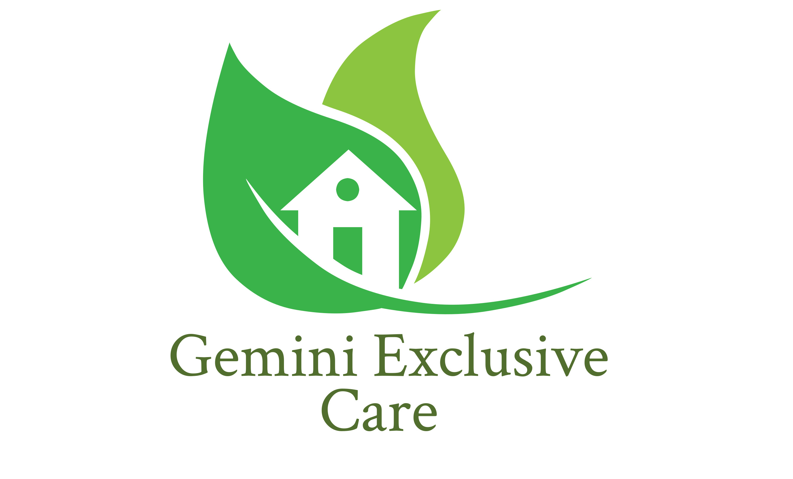 Gemini Exclusive Care Logo